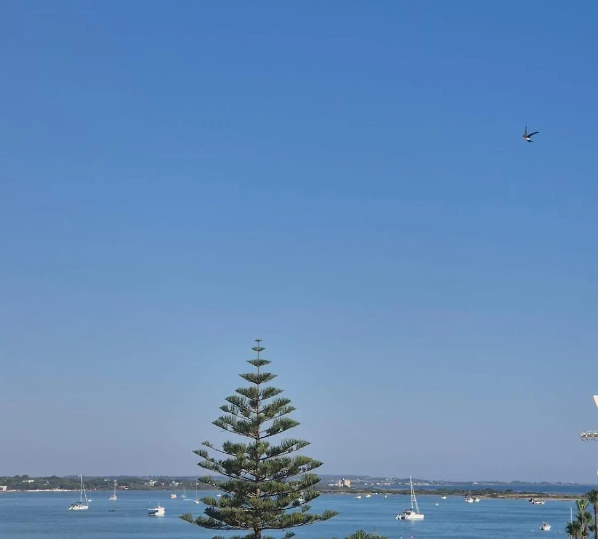 Appartamento Sky Apulia Con La Vista Sul Mare بورتو سيساريو